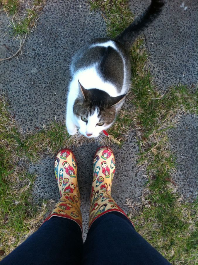 My cat and my gumboots